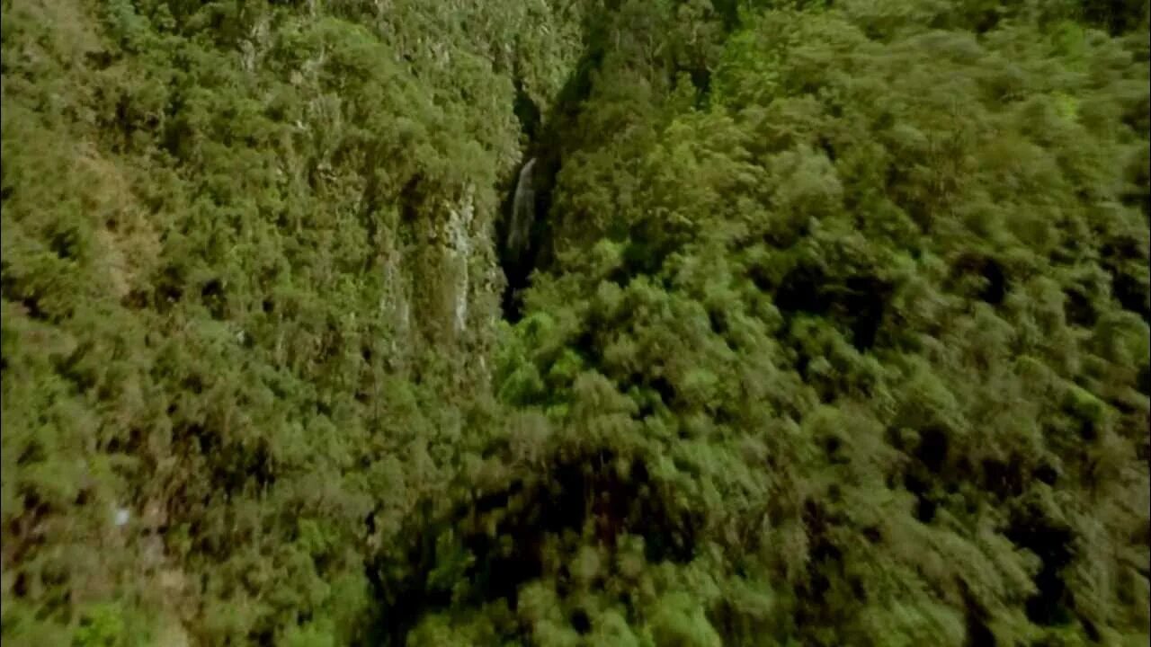 Мы жили дом на горе. Счастье человека фильм. Альпы в швейцарии старая хижина. Мы жили дом на горе ирина круг. Дом на горе ирина.