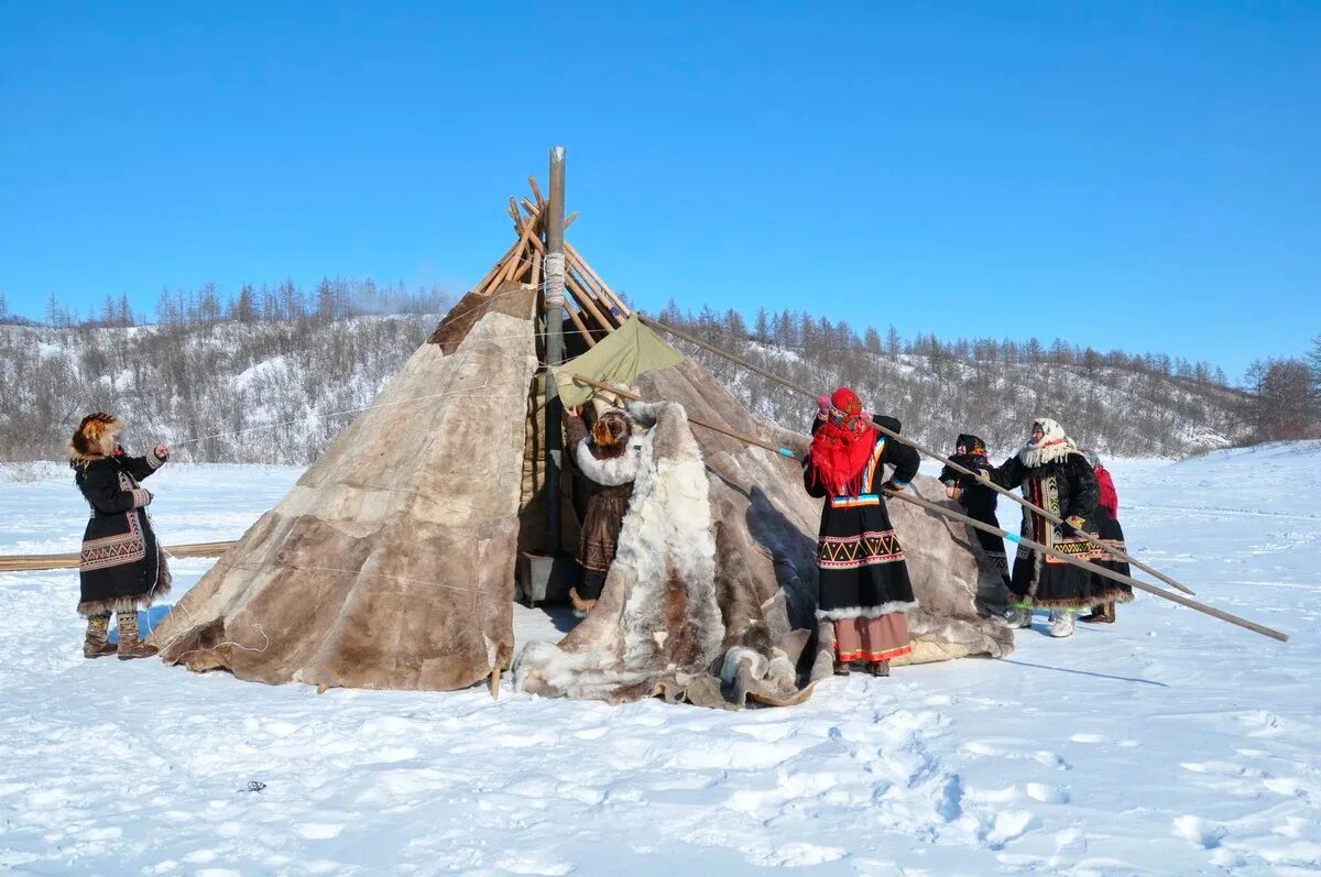 Дом коренных народов. Народы севера Красноярского края Долганы. Народы Красноярского края Долганы. Ненцы, нганасаны, Долганы, энцы. -. Долганы ненцы.