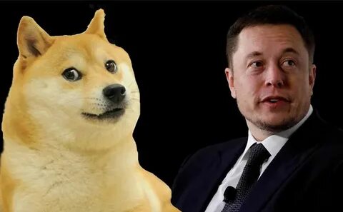 Dogecoin маск