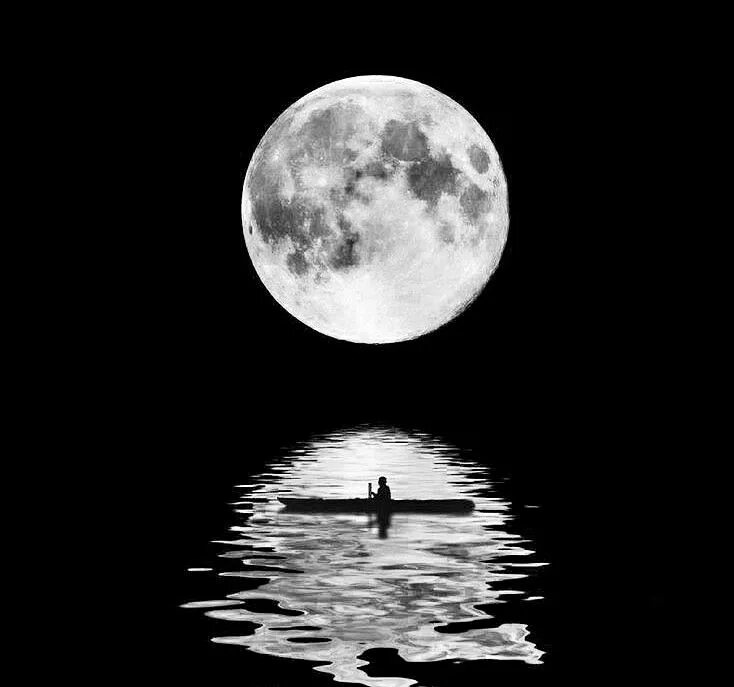 Одиноко Луна. Одинокая Луна. Полнолуние одиночество. Лунное одиночество. Луна грустный текст