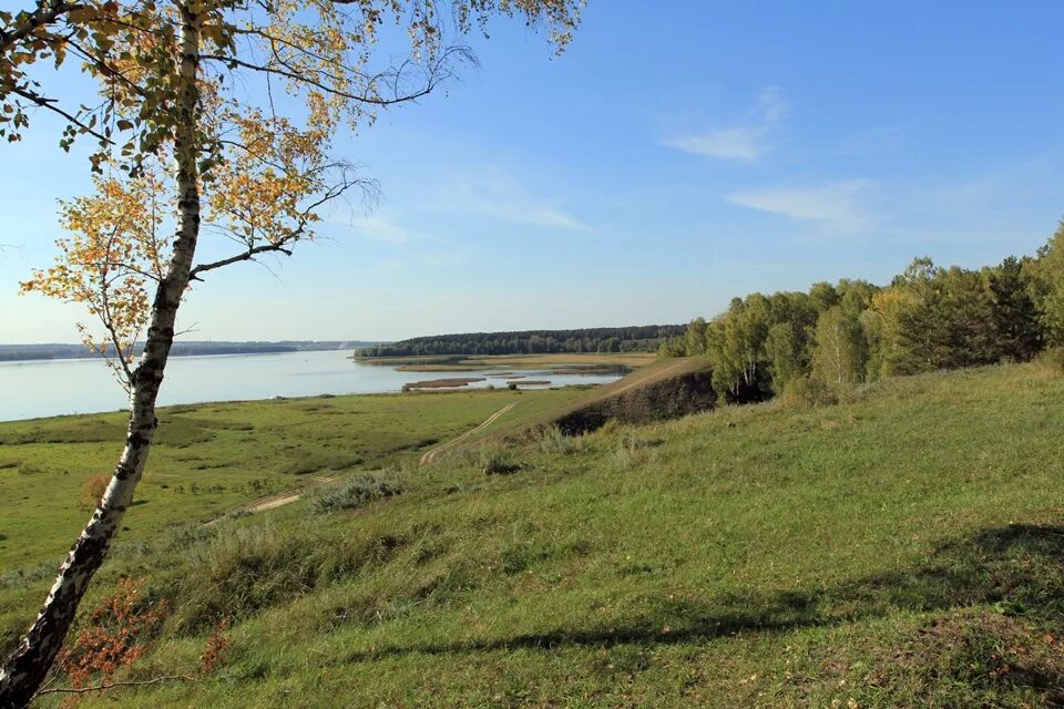 Река Тальменька Новосибирк. Тальменка Алтайский край природа. Река Тальменка Новосибирская область. С Тальменка Искитимского района Новосибирской области. Погода в луговом алтайского края тальменского