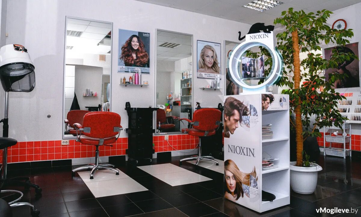 Империя стиля могилев. Империя стиля могилев. Империя стиля петрозаводск. Империя стиля могилев салон. Парикмахерская мытищи лайт империя стиля.