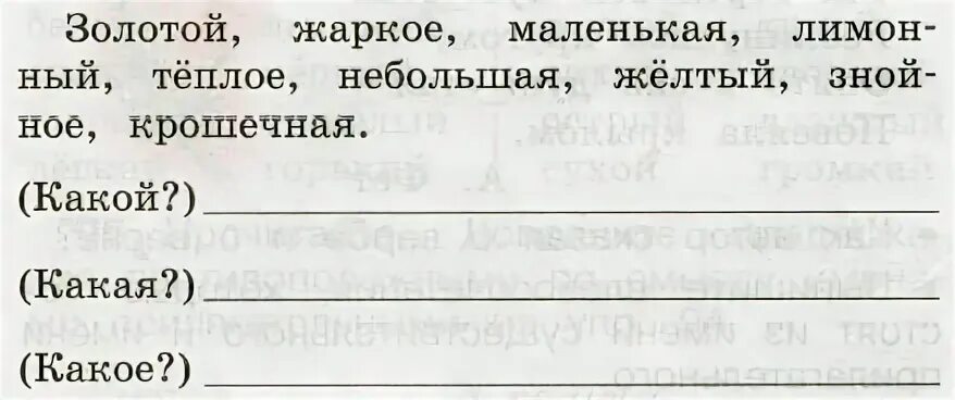 Запиши имена прилагательные по группам