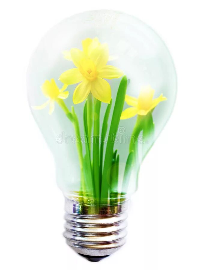 Цветы в лампочке. Лампа днат досвечивания. Лампа накаливания для цветов. Ваза из лампы накаливания. Лампочка с цветами.