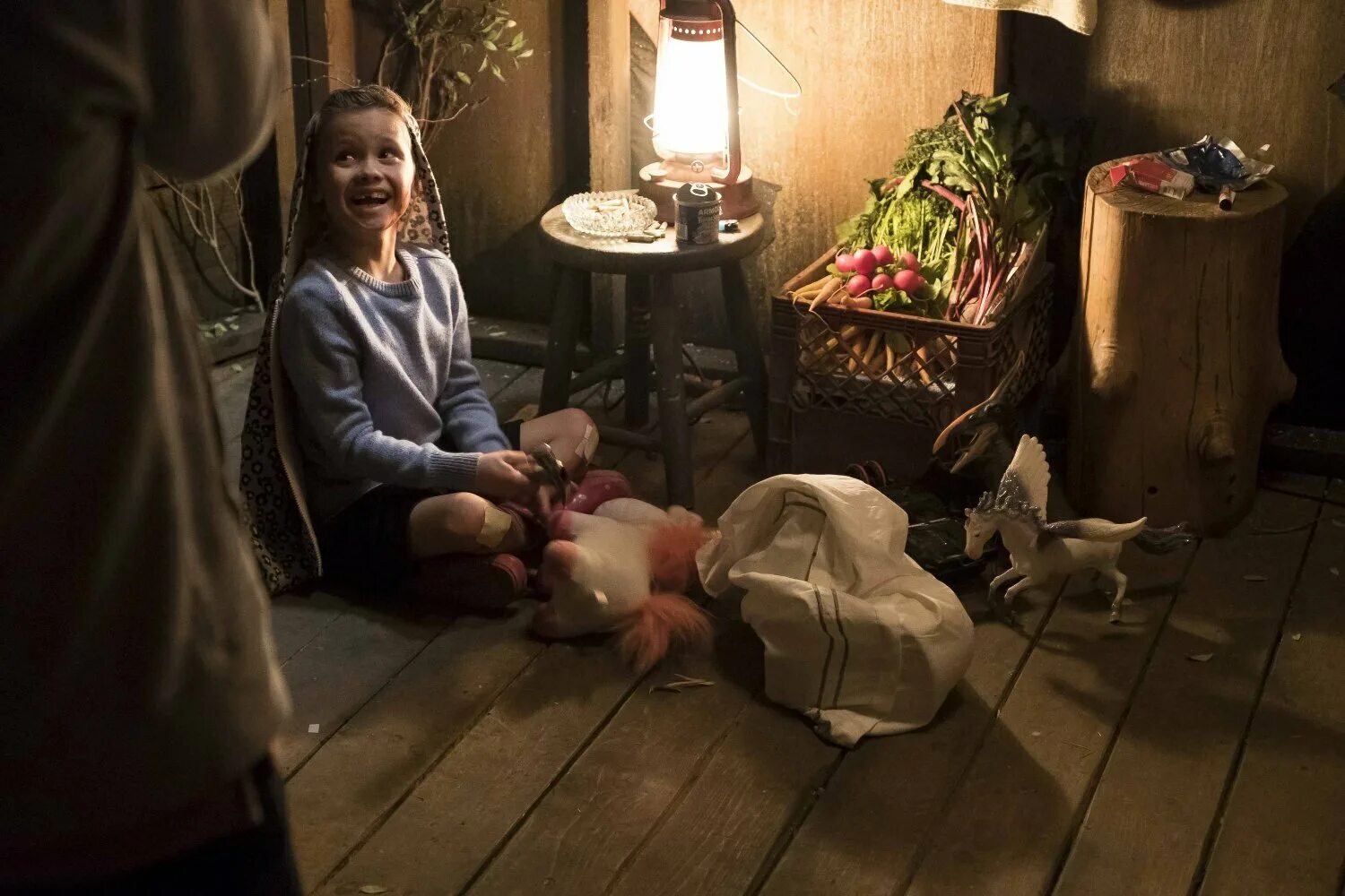 Mick. Мик сериал 2017–2018. The mick сериал. Mick. Мик 2017.