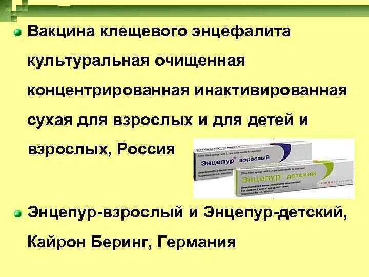 Вакцина от энцефалита название. Прививки против клещевого энцефалита схема детям. V1 клещевой энцефалит прививка. Прививка против клещевого энцефалита схема вакцинации. Вакцина против клещевого энцефалита схема вакцинации.