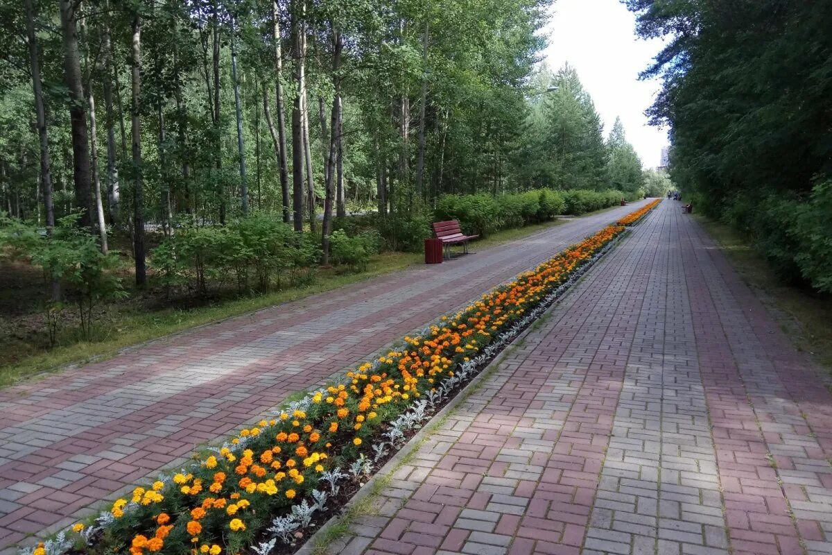 Парк геологов сургут фото. Парк за саймой сургут мост. Скверы сургута. Скверы сургута. Парк сайма сургут.