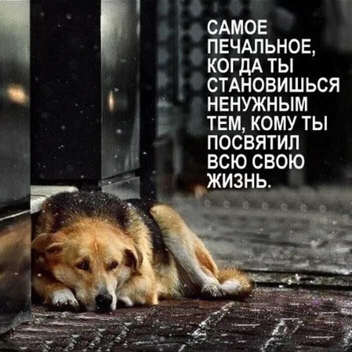 красивые но бесполезные вещи. самые без прлезные вещи. ненужные бесполезные вещи. бесполезная тема. сопротивление бесполезно.