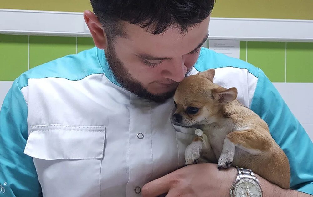 почему ветеринар. почему ветеринар. ветеринар с собакой. профессия ветеринар презентация. ветеринарный фельдшер.