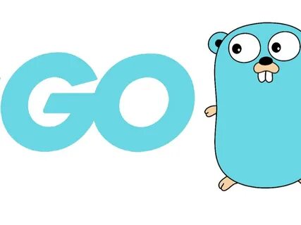 Golang error