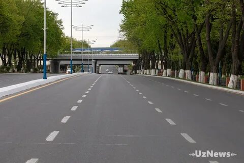 Русский язык на улицах ташкента