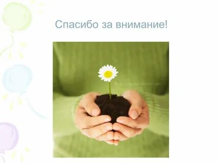 Спасибо за внимание растения