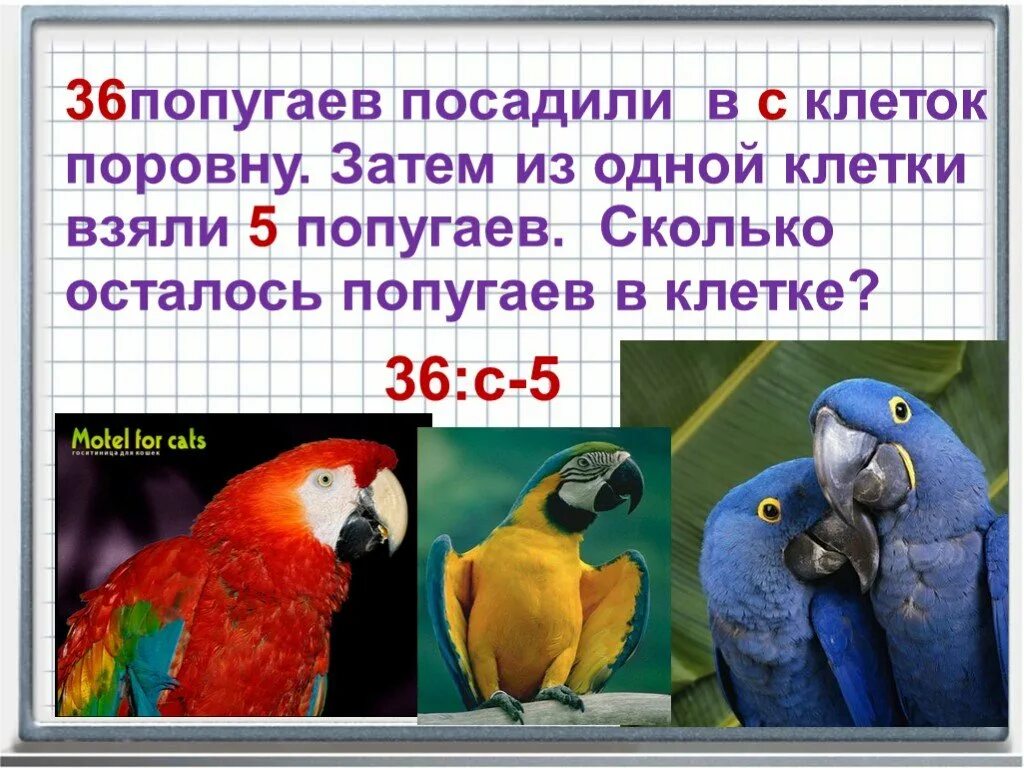 В зоопарке живут 5 видов попугаев каждому