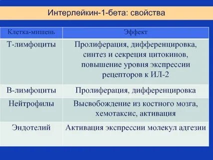 Функции бета клеток