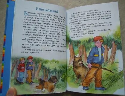 Рассказ кто хозяин осеева