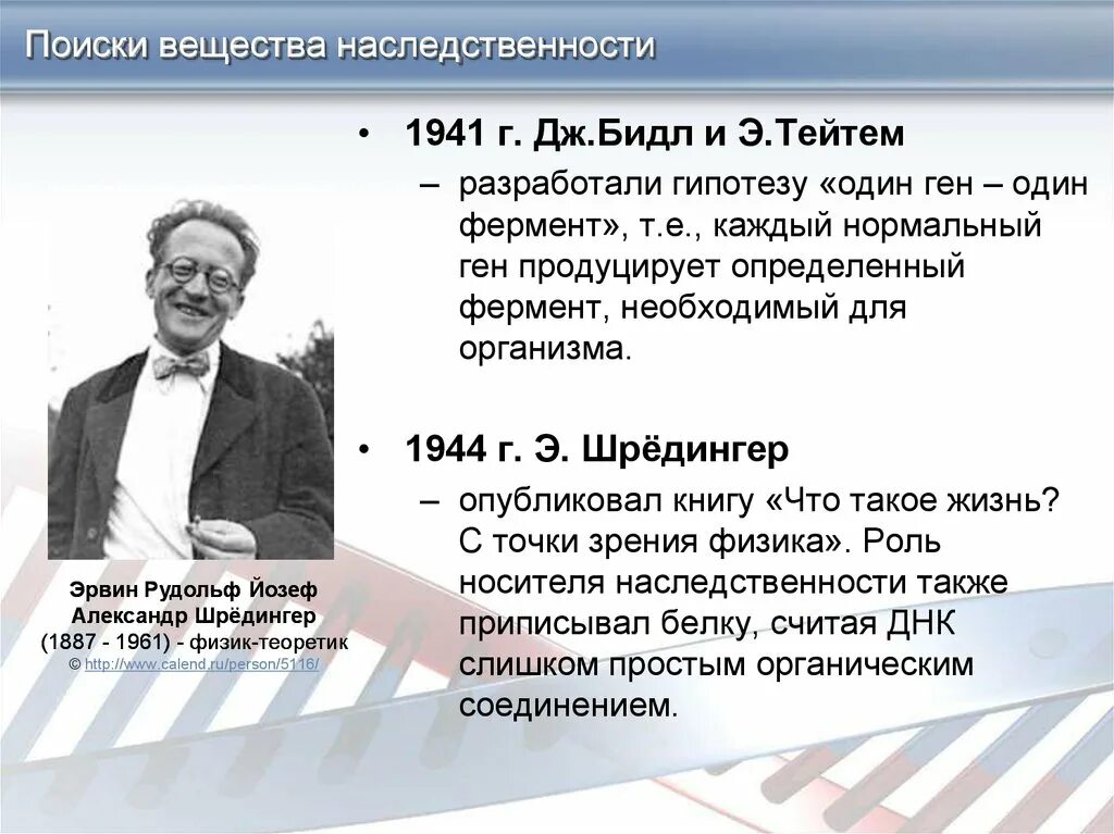 1 ген 1 полипептид. Один ген один фермент. Гипотеза один ген один фермент. Гипотеза один ген один фермент ее современная трактовка. Теория один ген.