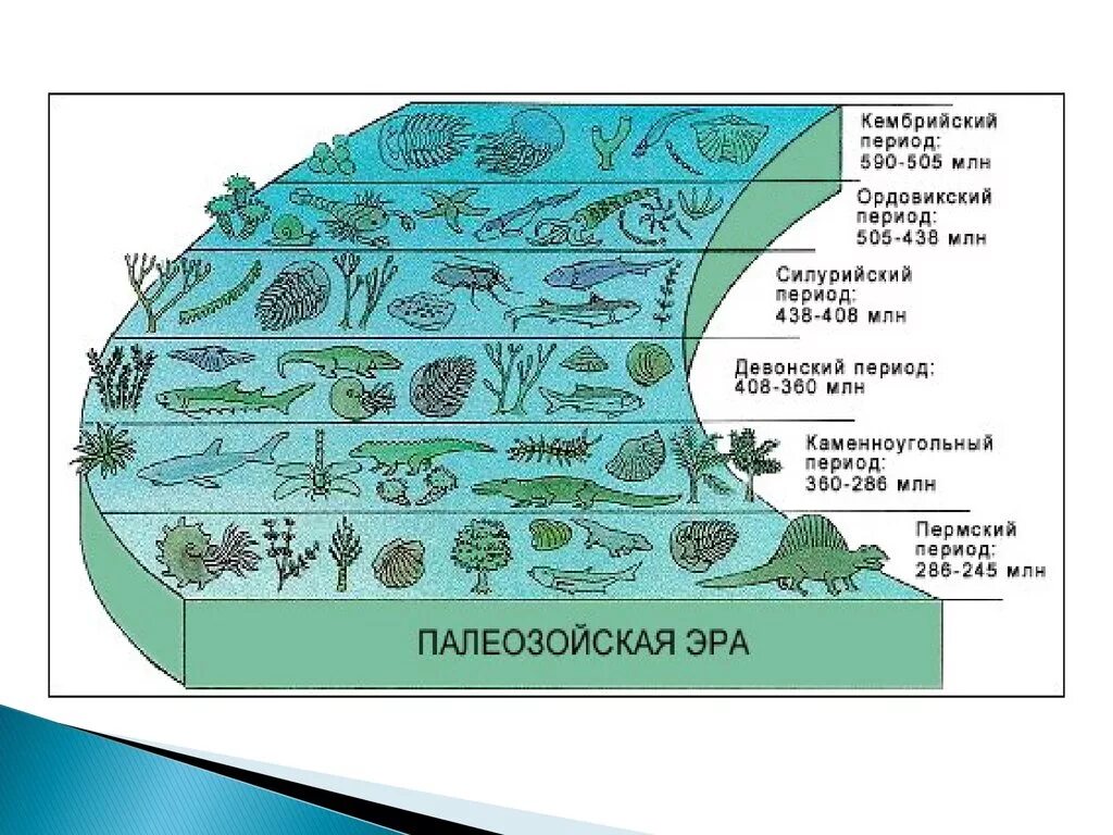 Развитие жизни на земле. Этапы развития жизни на земле. Эволюция жизни. Этапы развития жизни на земле схема.