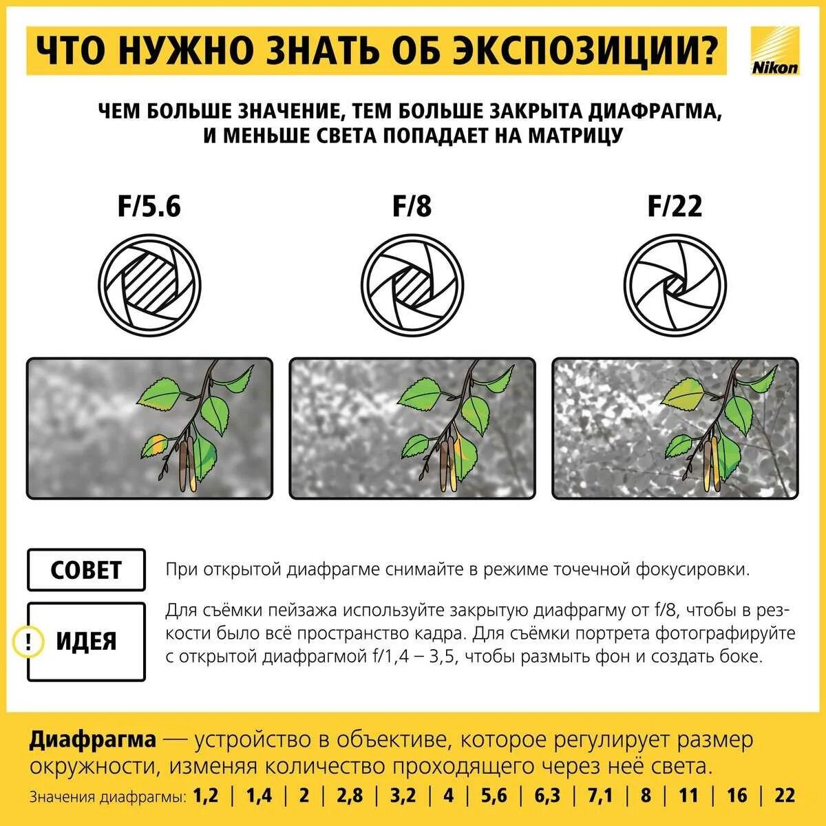 Диафрагма при съемке. Шпаргалка для фотографа диафрагма и выдержка. шпаргалка фотографу режимы съемки никон. шпаргалки для начинающих фотографов. настройка экспозиции в фотоаппарате.