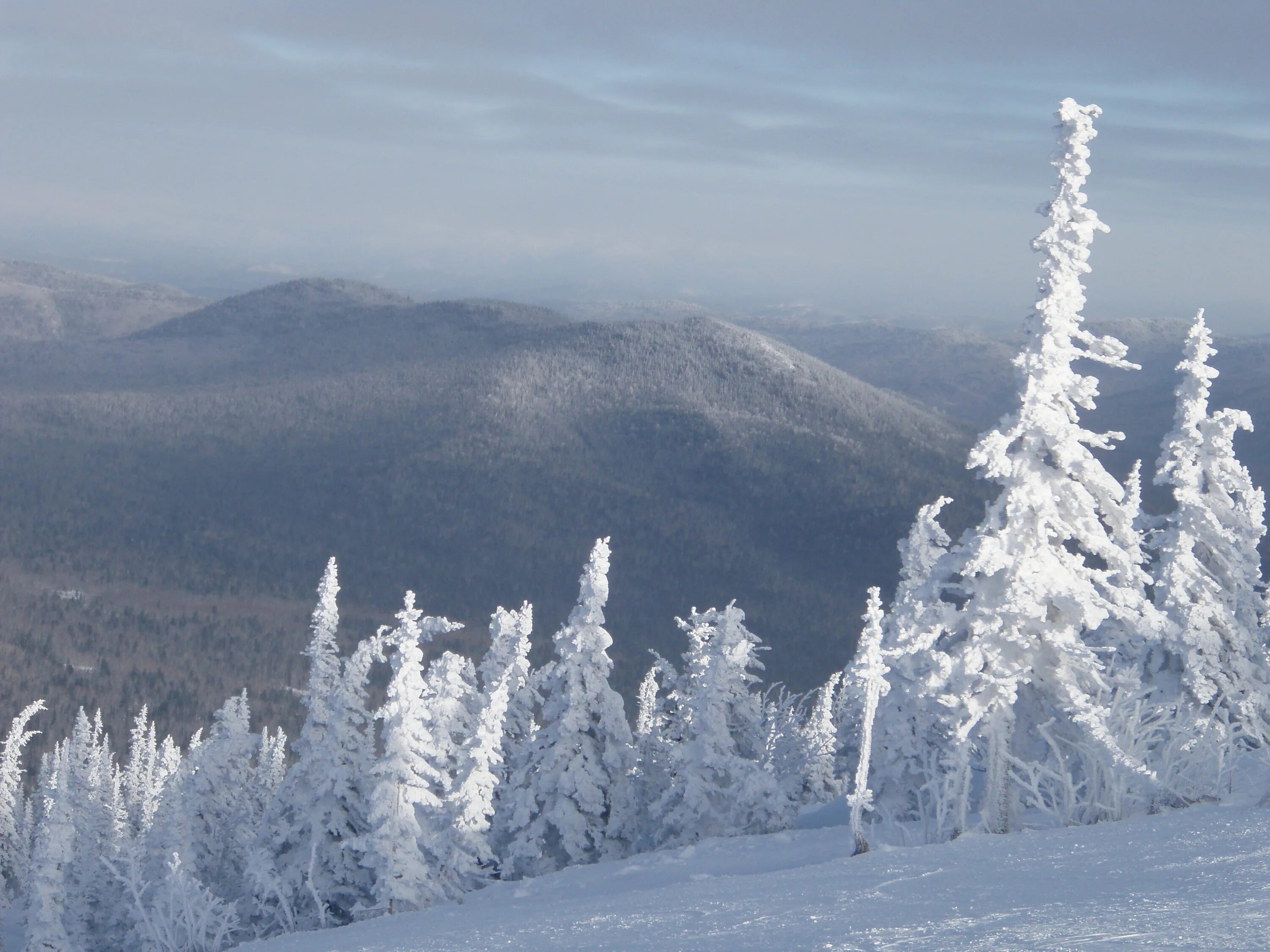 Ски пасс шерегеш 2022. Дорога новокузнецк шерегеш. Междуреченск шерегеш. Кузбасс горнолыжный курорт шерегеш. Аэросъемка шерегеш лобачев.