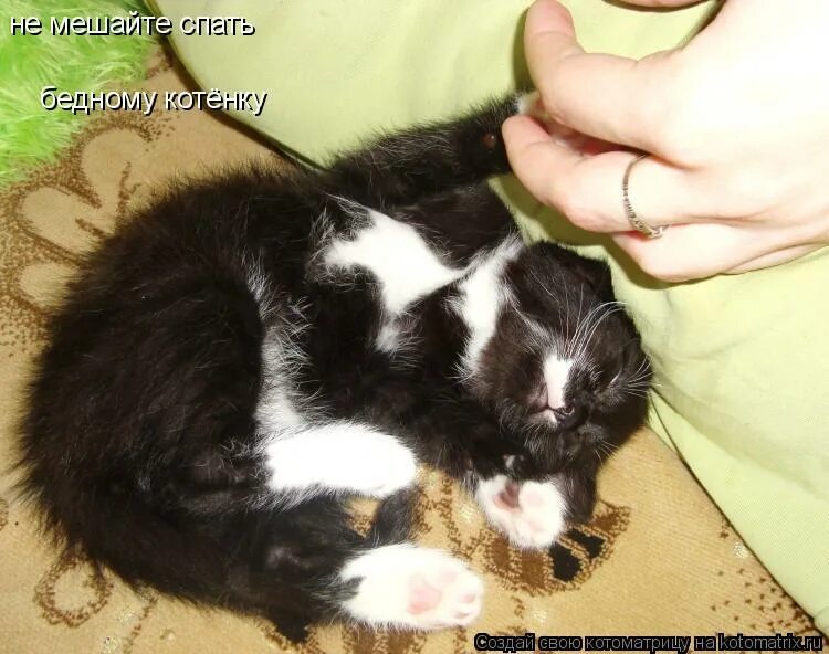 Не мешайте я сплю. Пора спать!. Мешают спать. Мем мешают спать. Мешают спать.