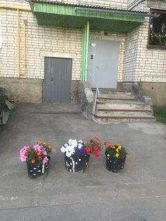 Слухи алексин сегодня читать