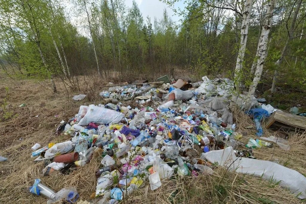 Загрязнение населенных пунктов. Загрязнение населенных пунктов. Загрязнение населенных пунктов. Загрязнение природы. Загрязнение населенных пунктов.