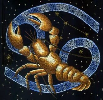 РАК гороскоп до конца года всякие интересности Дзен Octopus