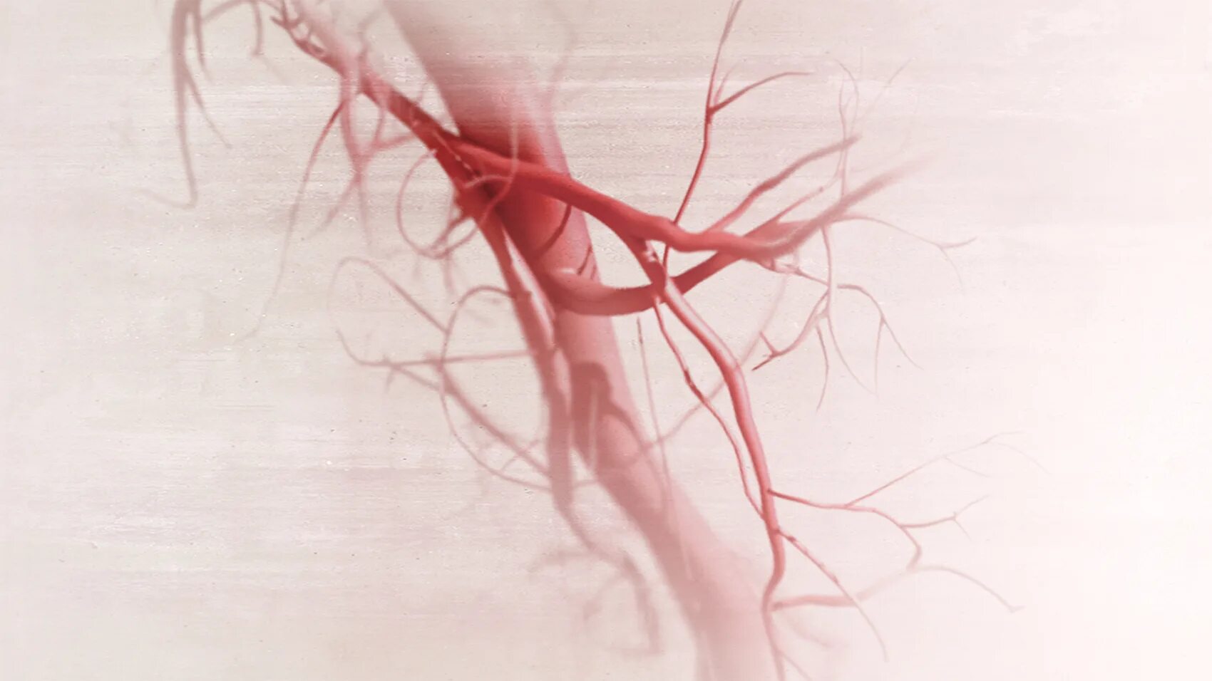 Получайте награды цветов артерий. Classification of arteries and Veins. Arteries illustration.