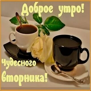 40 вторник
