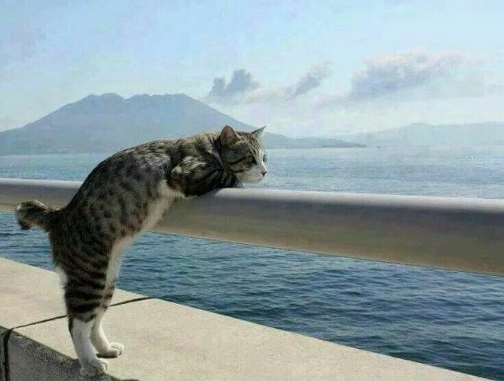 Тянется лето где бы ты не был. Навстречу сильному ветру. Не хочу на море. Девушка с поднятыми руками к небу. Тянется лето где бы ты не был.