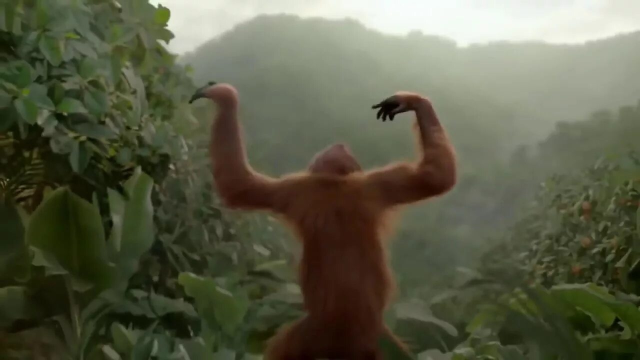 Обезьяна танцует. Бешеная обезьяна танцует. Танцующая обезьянка. Обезьяна чичичи.