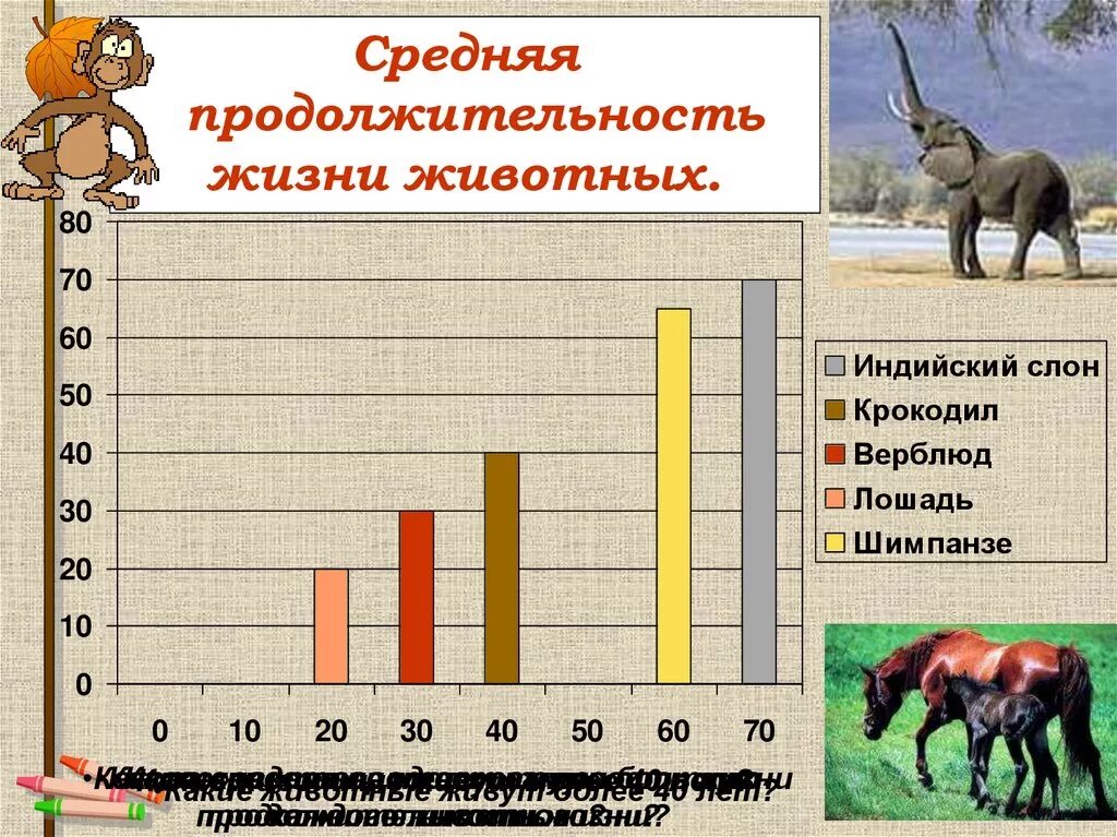 Сроки жизни животных. Продолжительность жизни жив. Продолжительность жизни животного. Средняя Продолжительность жизни коровы. Среднияпродолжительностьж ЗНИ животных.