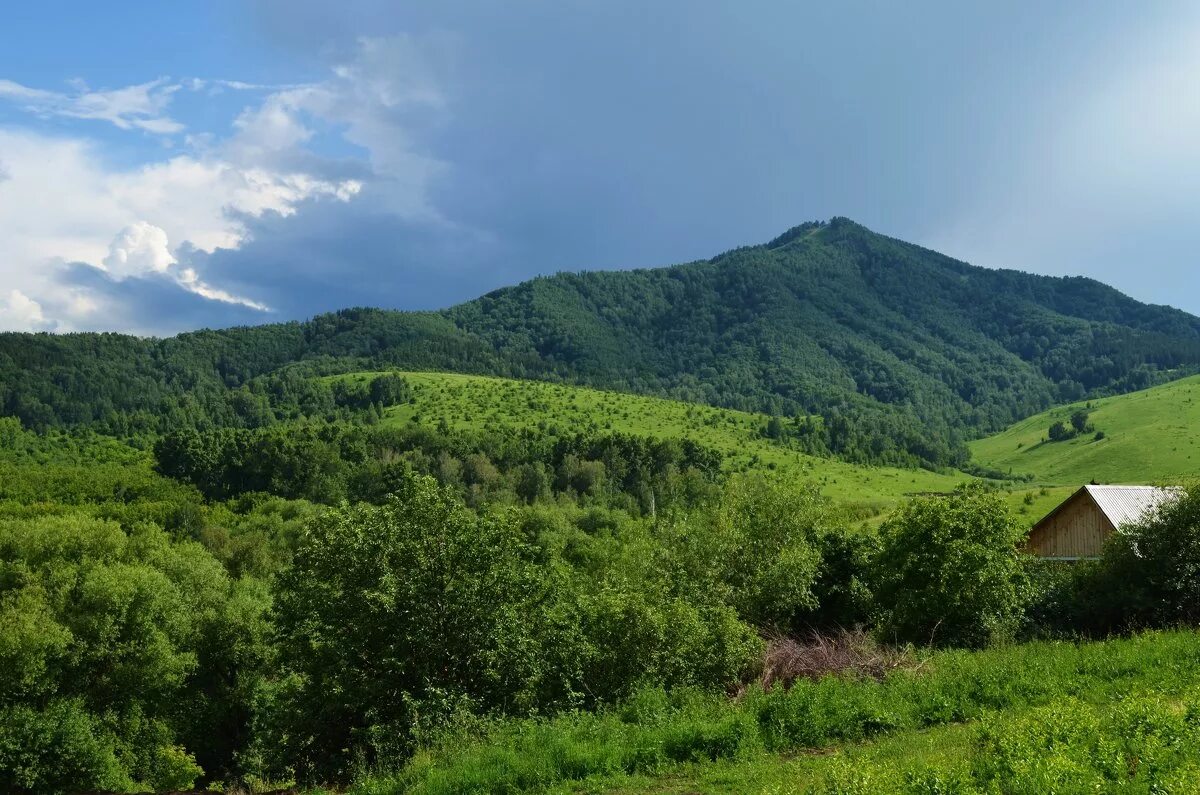 Белокуриха с высоты. Земля белокуриха. Foto land park белокуриха. Алтай белокуриха горы. Белокуриха алтайский край природа.