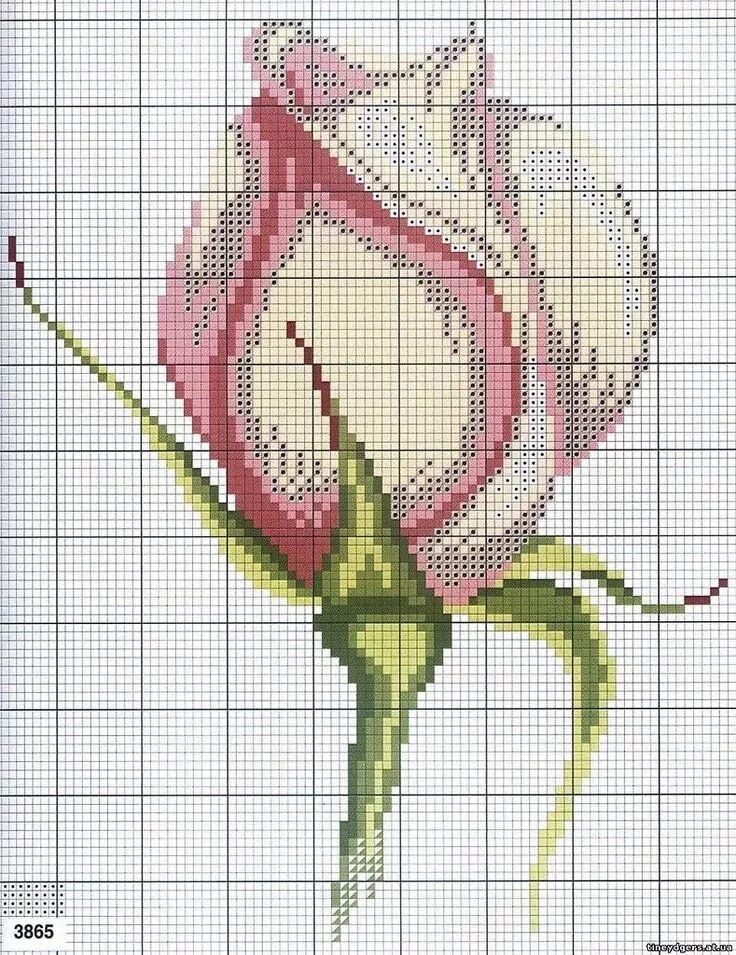 Схемки для вышивки крестиком. Схема вышивки крестом клематис. Схемы для вышивки врестиков. Вышивание крестиком цветы. Четкие схемы вышивки.