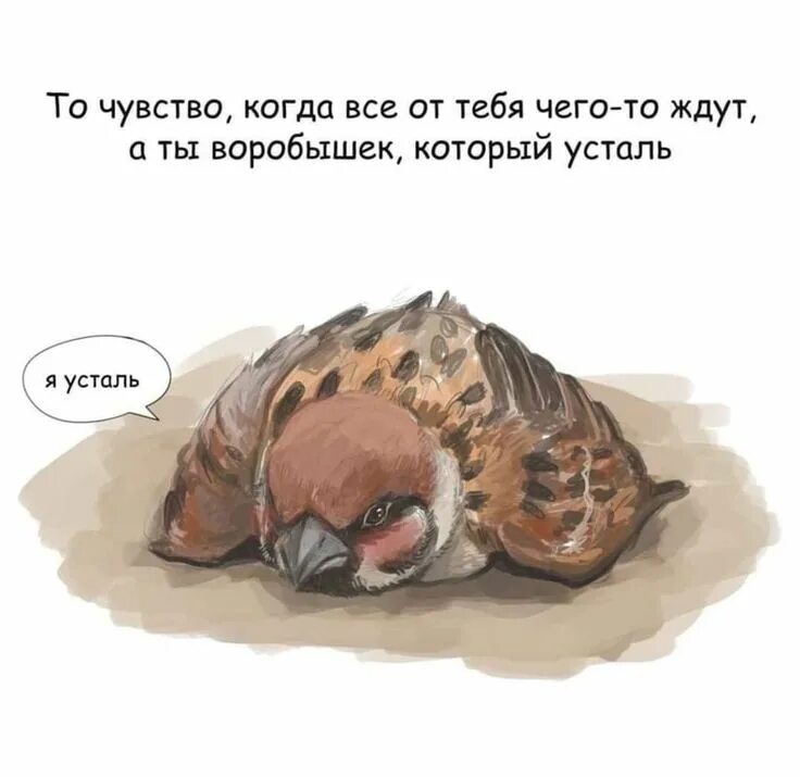 Иллюстрация к рассказу воробьишко горького. Крутой воробей. Воробей гуашью. Воробушек рисунок. Ждановны воробушек глава.