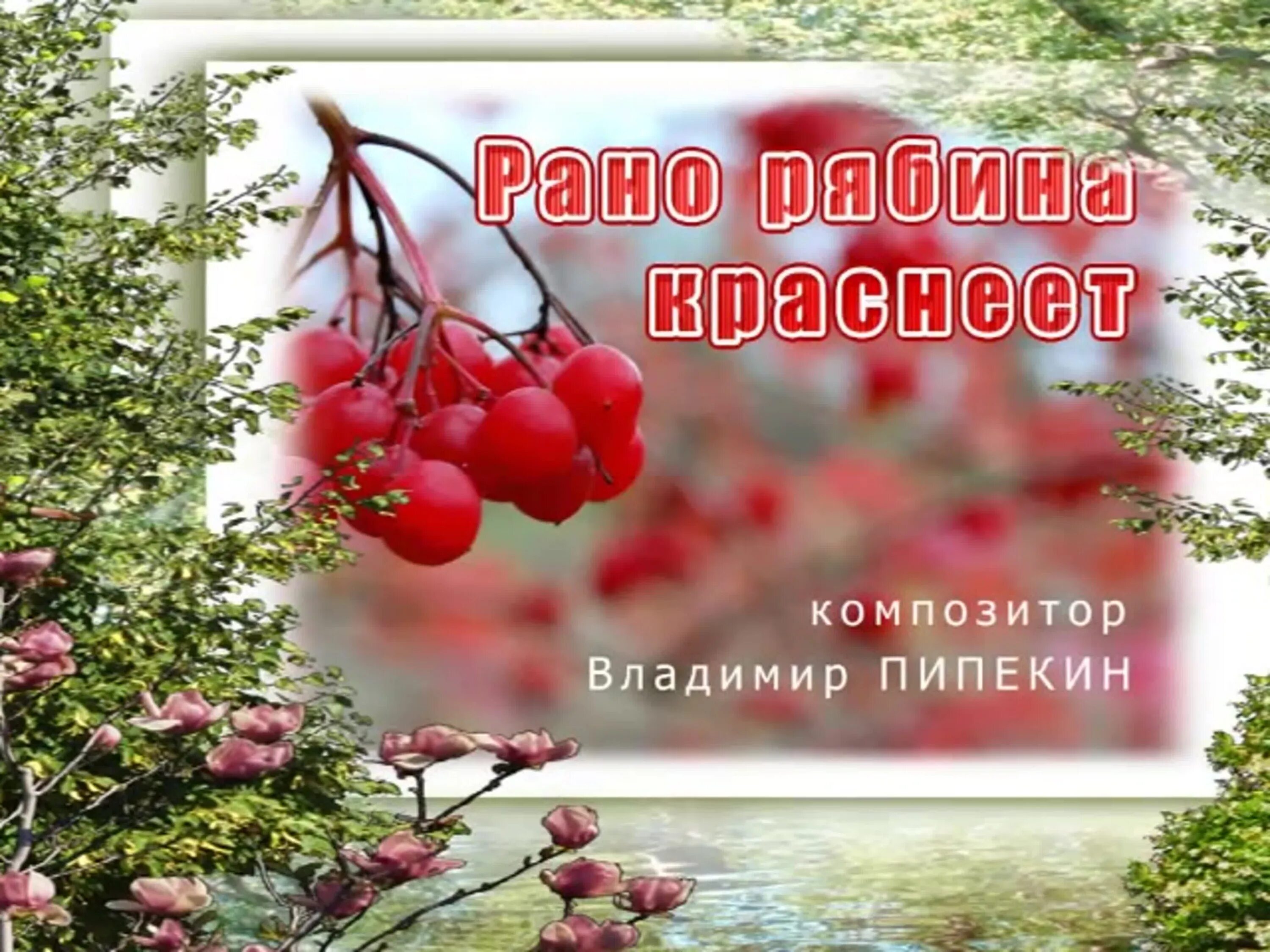 Осень рябина. Стихи есенина покраснела рябина. Покраснела рябина посинела вода. Рябина у реки. Покраснела рябина посинела вода.