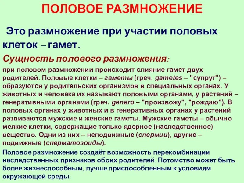 В половом размножении принимают участие. При половом размножении. Особенности полового размножения. Половое размножение организмов слияние гамет. Родители полового размножения.