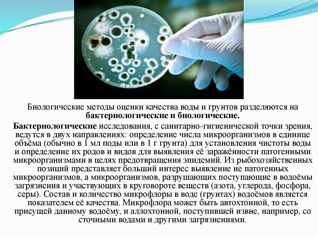 Бактерии пресной воды. Санитарно-биологические показатели качества воды. Биологические показатели качества воды. Санитарно-бактериологические показатели качества воды. Бактериологического бактериологические показатели качества воды.