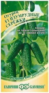 Огурцы изумрудные сережки описание