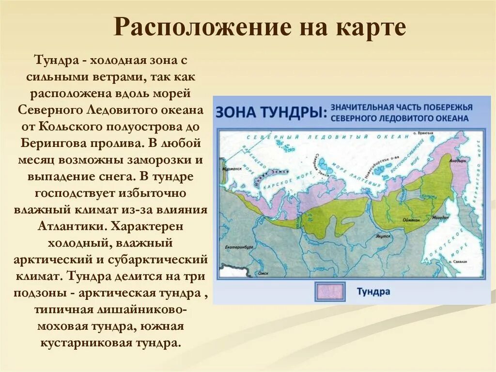 Тундра относительно морей и океанов. Тундра расположение природной зоны. Тундра на территории России карта. Географическое положение природных зон России на карте. Тундра России географическое положение на карте России.