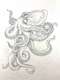 Осьминог рисунок карандашом