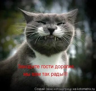Гости дорогие слушать
