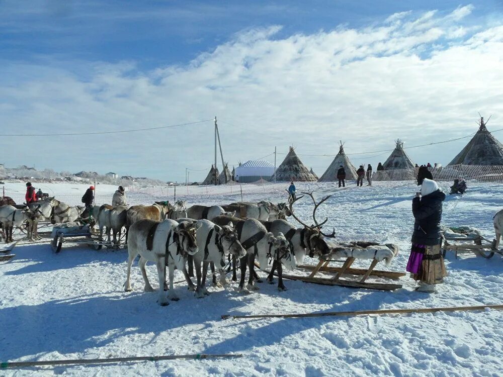 Крайнем севере а также в. Народы крайнего севера. Лето города крайнего севера.