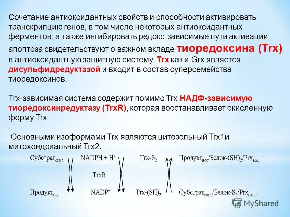 Антиоксидантные ферменты