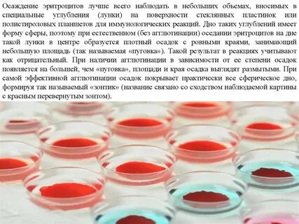 Добавляют в небольшом количестве в