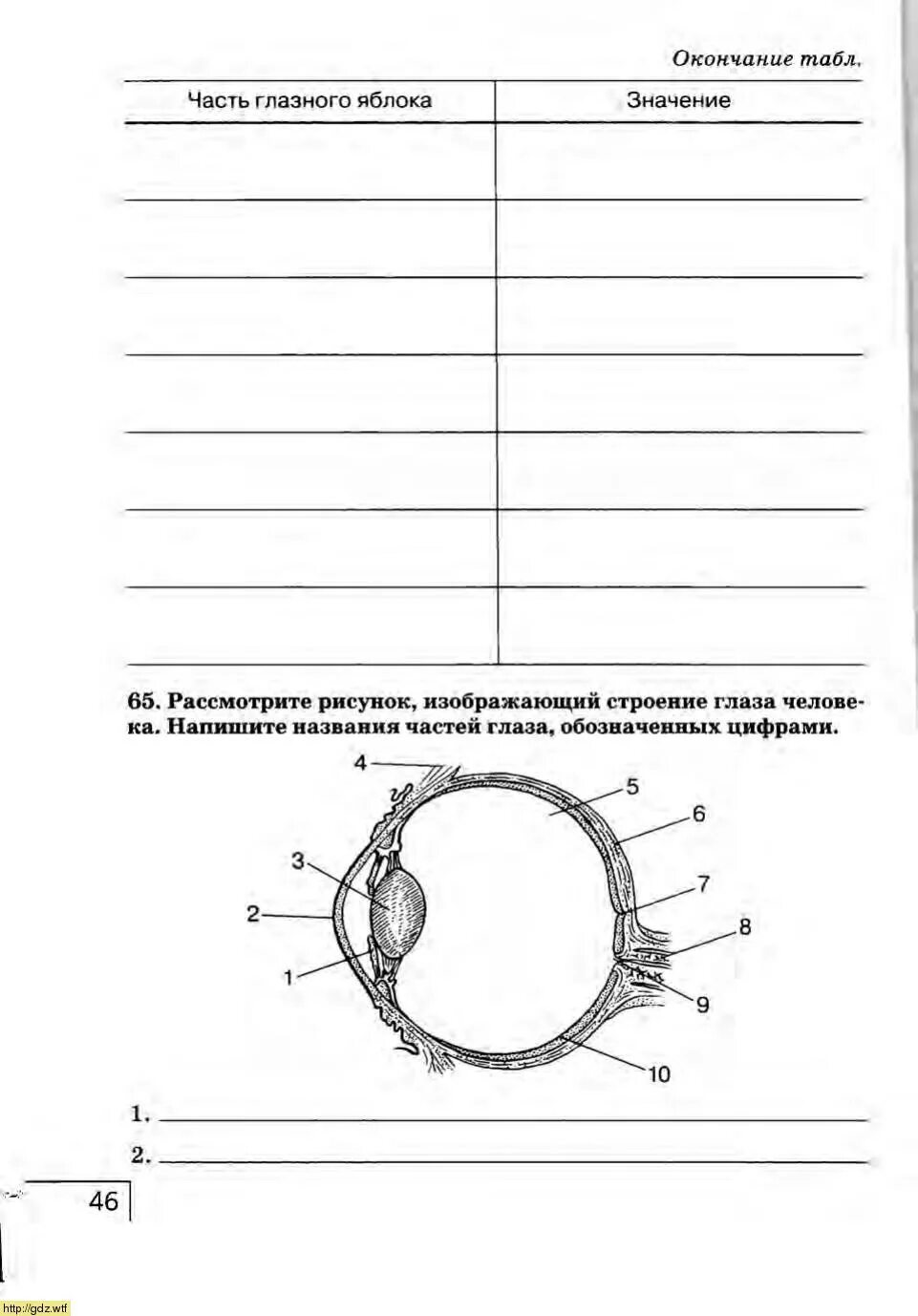 Таблица строение глаза 8 класс биология. Дидактические карточки по биологии 8 класс зрительный анализатор. Биология 8 класс Сонин анализаторы. Биология 8 класс рабочая тетрадь сони. Анатомия глаза таблица.