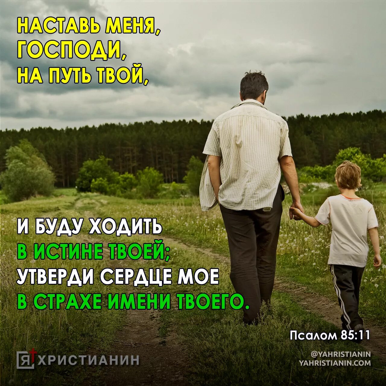 Наставь меня Господи на путь твой. Милости твоей Господи полна земля научи. Библия Псалом. Божьи обещания в Библии. Господи да будет твоя