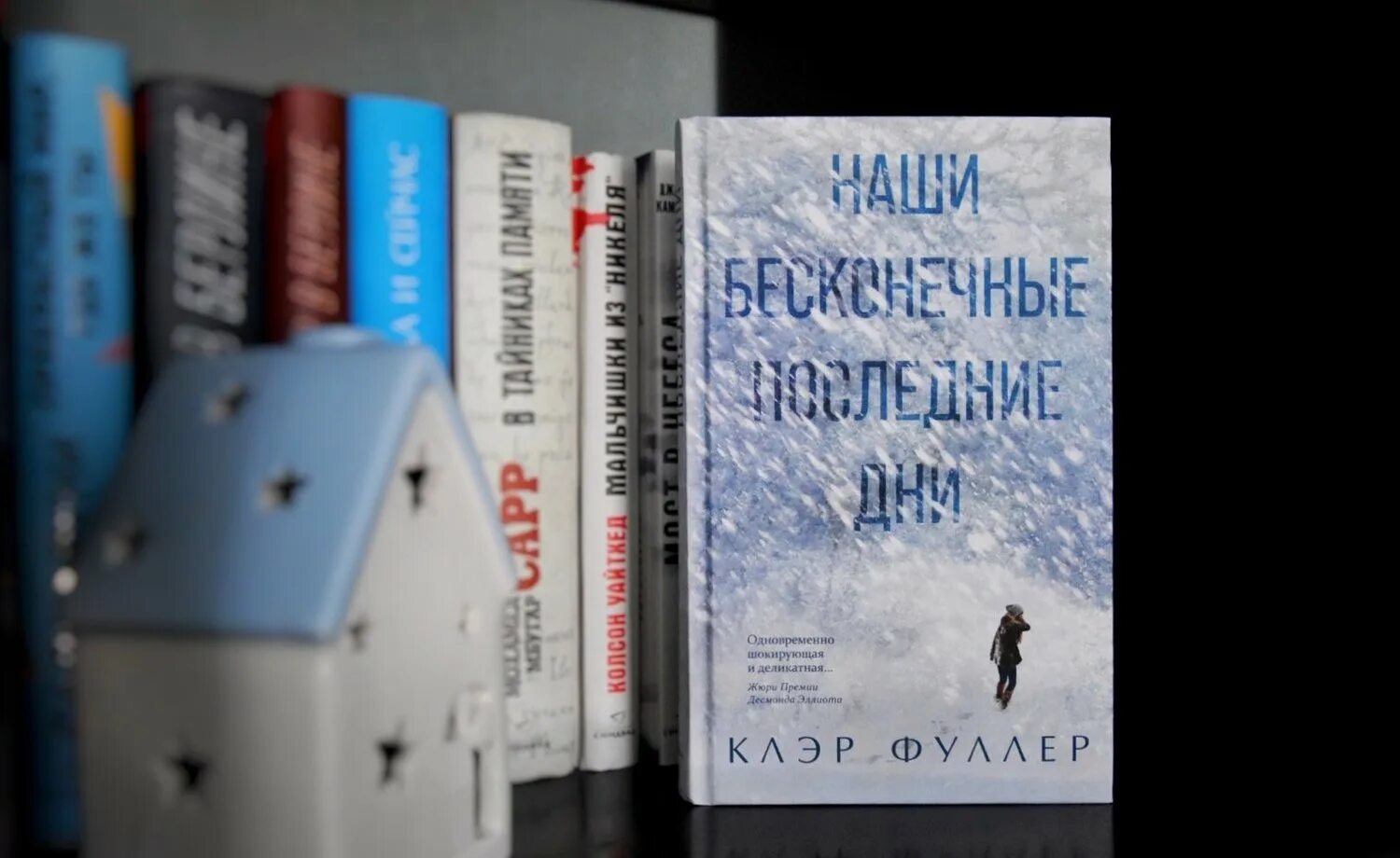 Наши бесконечные дни книга. Наши бесконечные дни книга. Наши бесконечные последние дни книга. Наши бесконечные дни книга. Себастьян барри бесконечные дни.
