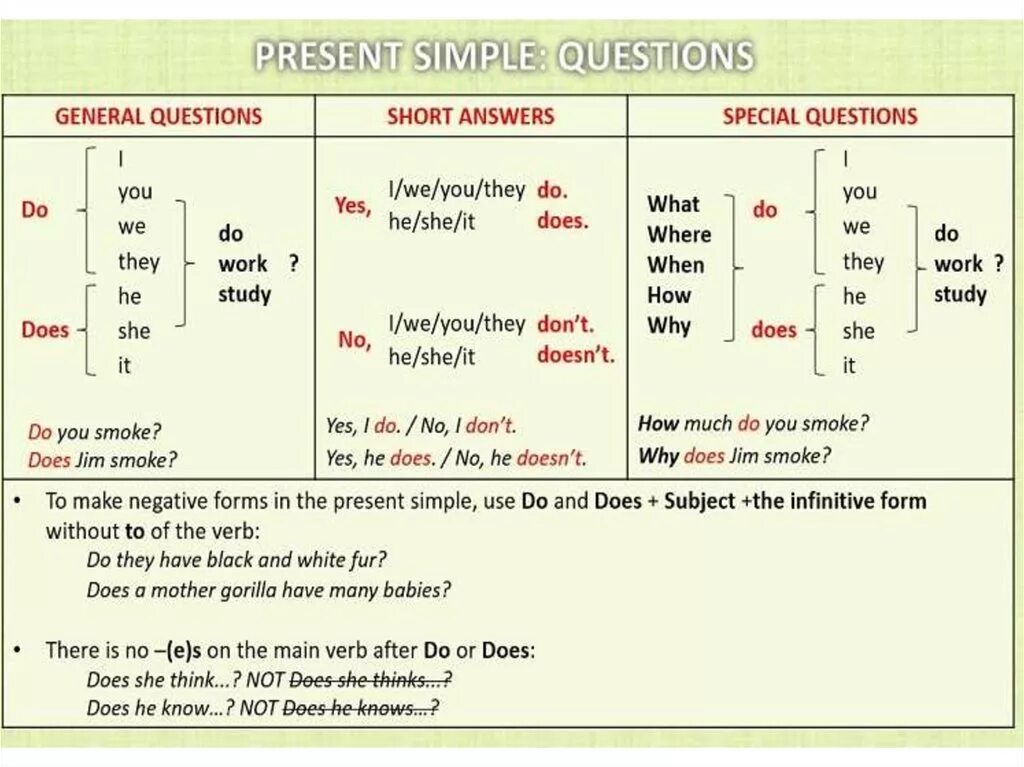 Simple present tense do does. Present simple специальные вопросы схема. Образование специальных вопросов в английском языке present simple. Общий вопрос в английском языке present simple. Как составить вопросительное предложение в present simple.