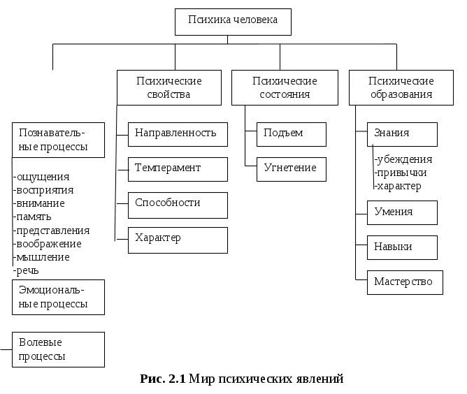 Структура психического состояния. Структура психики процессы состояния свойства. Психические процессы психические состояния психические свойства. Основные проявления психики схема. Психические процессы схема.